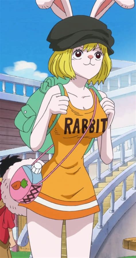 one piece carrot sex|Videos Tagged with carrot (one piece)